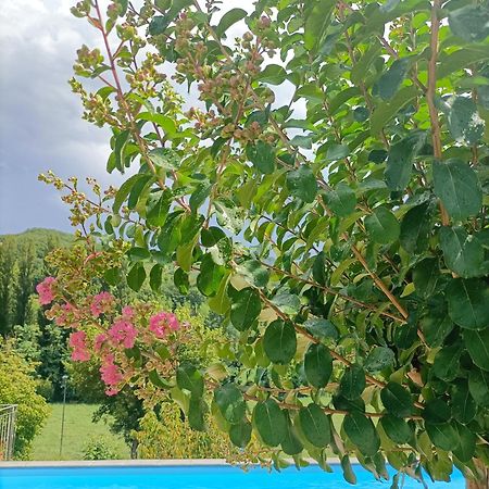 B&B Villa Ginevra เปียตราลุงกา ภายนอก รูปภาพ