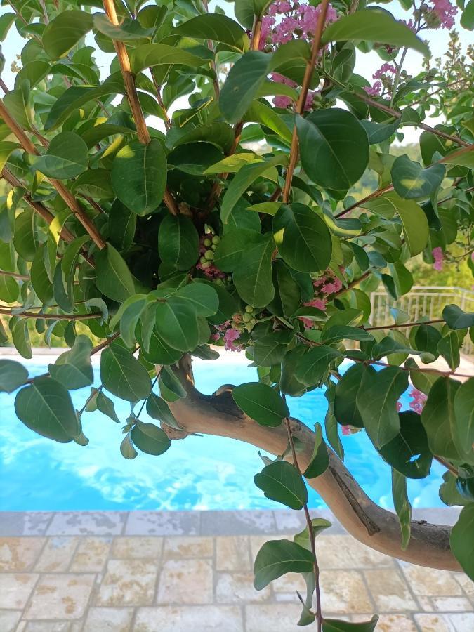 B&B Villa Ginevra เปียตราลุงกา ภายนอก รูปภาพ