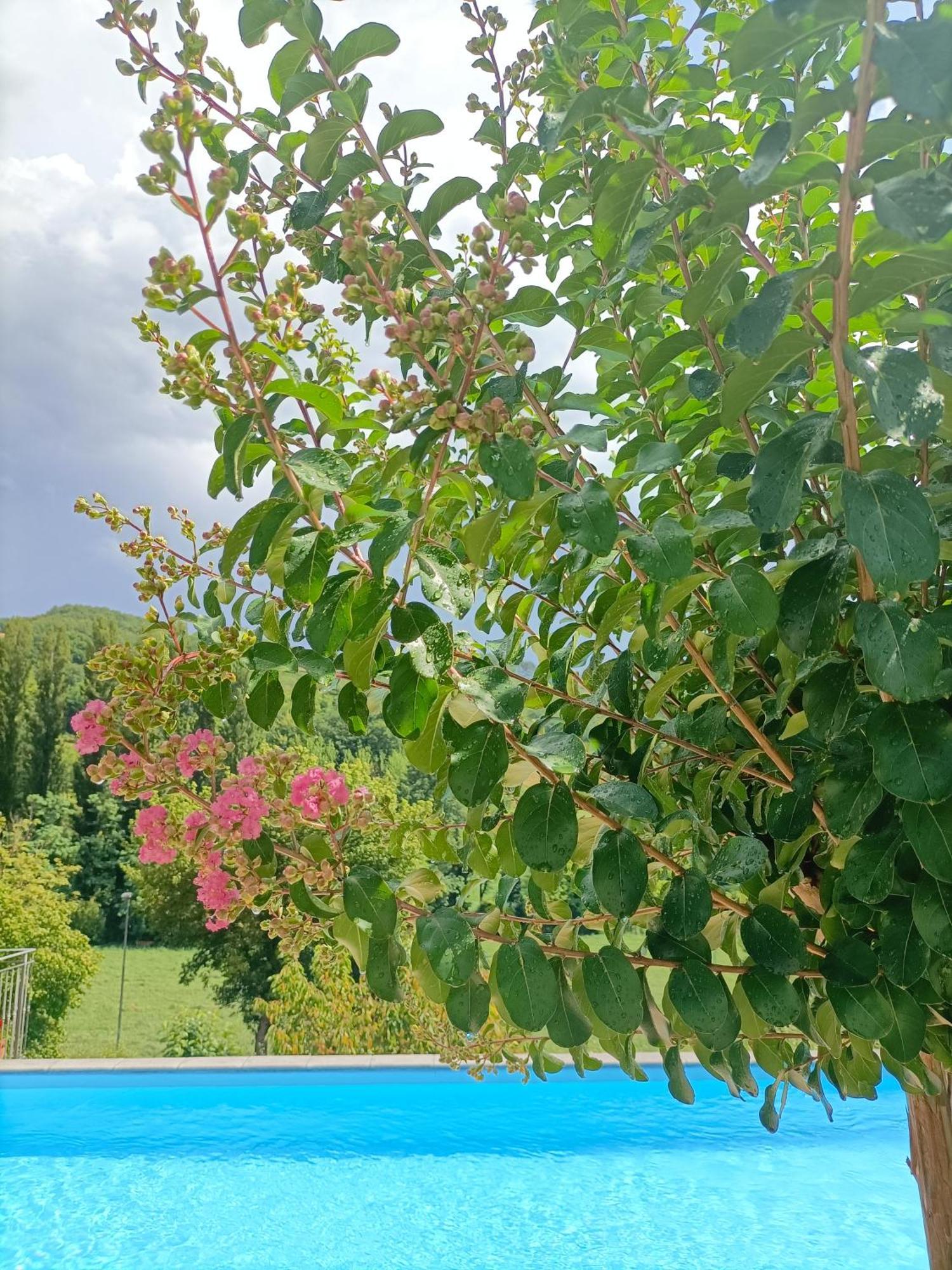 B&B Villa Ginevra เปียตราลุงกา ภายนอก รูปภาพ